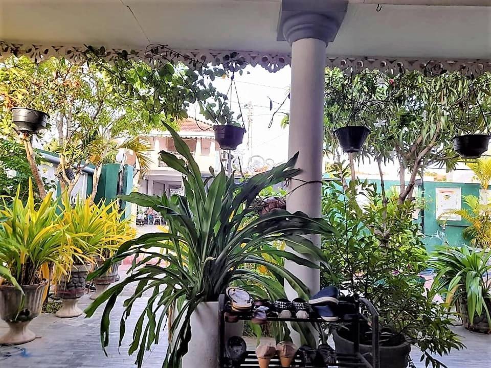 Alexandra Family Villa Негомбо Екстер'єр фото